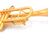  JP By Taylor  Trumpet in Satin Matte Lacquer Finish: Amazing Horn 