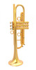  JP By Taylor  Trumpet in Satin Matte Lacquer Finish: Amazing Horn 