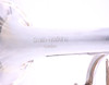 Pre-Owned Smith-Watkins K2 Professional Cornet in Silver Plate 
