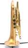 Carolbrass CCR-3880-GSS-Bb Cornet with Satin Bell