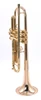 Pre-Owned Warburton Model 335 Trumpet in Clear Lacquer
