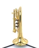 Carol Brass  CPT 4000-yls  Pocket C Trumpet in lacquer!