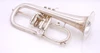 Vintage Hirsbrunner Crown Flugelhorn in Matte Silver plate