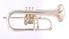 Vintage Hirsbrunner Crown Flugelhorn in Matte Silver plate
