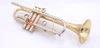 Adams A4-LT Custom Series Trumpet in Satin Lacquer 