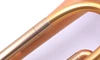 Taylor Nemesis Trumpet in Satin Matte Gold Lacquer:  A BEAST!