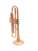 Taylor Nemesis Trumpet in Satin Matte Gold Lacquer:  A BEAST!