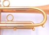 Taylor Nemesis Trumpet in Satin Matte Gold Lacquer:  A BEAST!