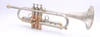 AR Resonance Classica Trumpet in Raw Nickel