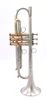 AR Resonance Classica Trumpet in Raw Nickel