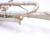 AR Resonance Classica Trumpet in Raw Nickel