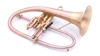Bell BTFH Vector Flugelhorn in Satin Lacquer 