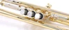 Pre-Owned B&S 3137 Challenger II Trumpet In Clear Lacquer 