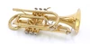 Carolbrass CCR-2000-YSS-L Bb Cornet