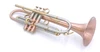 Trent's Baby! "The Beast" Bell Trumpets  with Copper 900 Bell! 