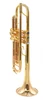Y-Fort YTR-844GL Bb Trumpet in Clear Lacquer