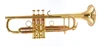 Y-Fort YTR-844GL Bb Trumpet in Clear Lacquer