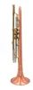 Pre-Owned B.A.C. Paseo Model Gen I Trumpet in Combo Satin