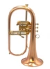 Brasspire 933-2b (Heavy Weight Style) Professional Bb Flugelhorn in Satin Lacquer
