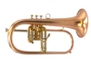 Brasspire 933-2b (Heavy Weight Style) Professional Bb Flugelhorn in Satin Lacquer