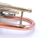 Amazing  Getzen 3850 Custom Series cornet in Clear Lacquer