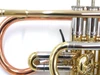 Amazing  Getzen 3850 Custom Series cornet in Clear Lacquer