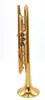 Pre-Owned ACB by Adams Americana Trumpet in Gold Lacquer