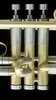 Edwards X-13 Bb Trumpet in Satin Lacquer!