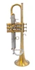 Pre-Owned Flip Oakes Wild Thing Trumpet in Raw Brass