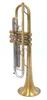Pre-Owned Flip Oakes Wild Thing Trumpet in Raw Brass