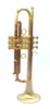 Full Satin beauty:  CarolBrass   Trumpet CTR-4340L-YLT-SL (yellow brass bell)