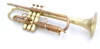 Full Satin beauty:  CarolBrass   Trumpet CTR-4340L-YLT-SL (yellow brass bell)