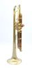 Full Satin beauty:  CarolBrass   Trumpet CTR-4340L-YLT-SL (yellow brass bell)