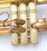 Full Satin beauty:  CarolBrass   Trumpet CTR-4340L-YLT-SL (yellow brass bell)