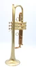 Full Satin beauty:  CarolBrass   Trumpet CTR-4340L-YLT-SL (yellow brass bell)