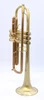 Full Satin beauty:  CarolBrass   Trumpet CTR-4340L-YLT-SL (yellow brass bell)