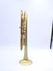 Full Satin beauty:  CarolBrass   Trumpet CTR-4340L-YLT-SL (yellow brass bell)