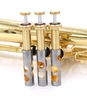 CarolBrass 4000-YSS-Bb-L  Flugelhorn in Lacquer