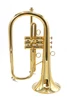 CarolBrass 4000-YSS-Bb-L  Flugelhorn in Lacquer