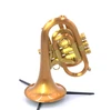 FULL SATIN beauty!   CarolBrass CPT-7090-RLM  DIZZY  Pocket  Trumpet
