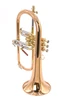  Red Brass Beauty! Carol Brass 6200-rss Flugelhorn in  clear lacquer