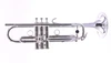 Back to school DEAL!  B&S "Benny Brown" Model Personality Trumpet