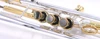 Back to school deal!  Carolbrass CTR-5000L-GST-Bb-SRL Mariachi Trumpet