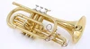 Shop Demo Carolbrass CCR-2000-YSS-L Bb Cornet 