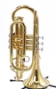 Shop Demo Carolbrass CCR-2000-YSS-L Bb Cornet 