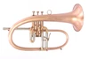 The  AR Resonance Sipiagin Flugelhorn in lacquer!  A work of art!! 