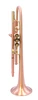 Copper Masterpiece! Bell BT3-347-430 Trumpet in Clear Lacquer 