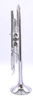  Bell Trumpets " The Tank" in Silver Plate:  Huge sound and response