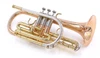 Pre-Owned Getzen 800DLX Eterna Bb Cornet in Clear Lacquer 