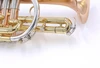Pre-Owned Getzen 800DLX Eterna Bb Cornet in Clear Lacquer 